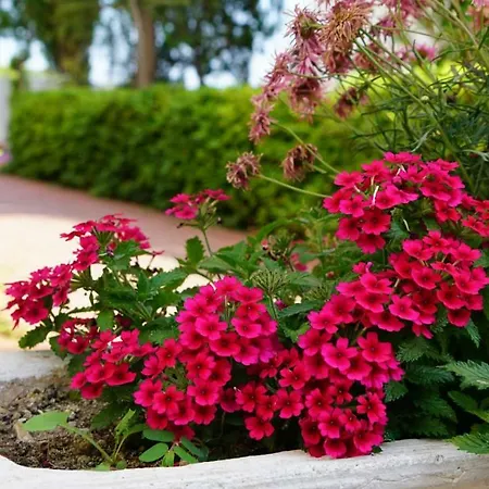 Irem Garden & 2*
